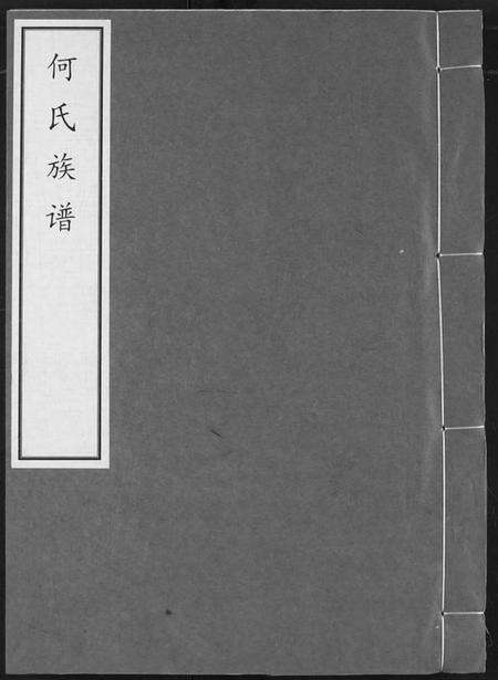 湖北何氏族谱-何氏宗谱.pdf电子版缩略图