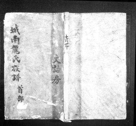 湖南龙氏族谱-城南龙氏族谱 [8卷,首1卷].pdf电子版预览图1