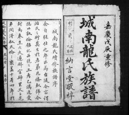 湖南龙氏族谱-城南龙氏族谱 [8卷,首1卷].pdf电子版预览图2