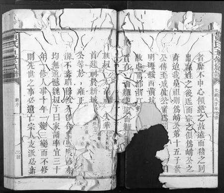 江西黄氏族谱-黄氏五修族谱[不分卷].pdf电子版预览图4