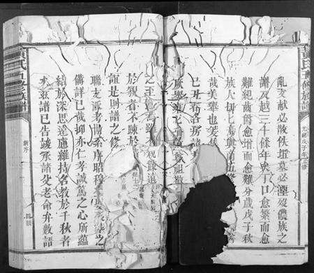 江西黄氏族谱-黄氏五修族谱[不分卷].pdf电子版预览图5