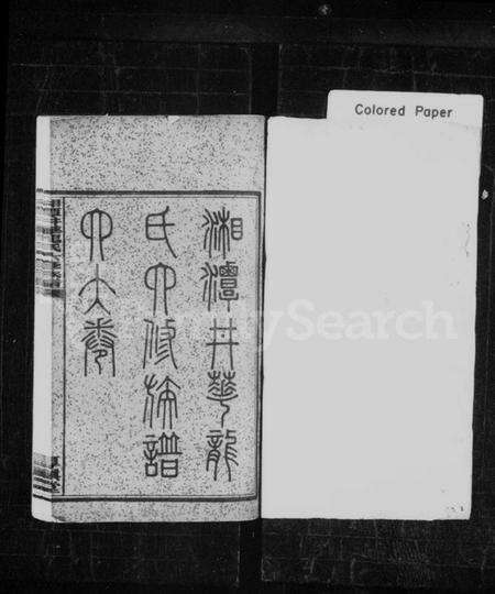 湖南龙氏族谱-湘潭井华龙氏六修族谱 [4卷,首2卷,末5卷].pdf电子版预览图2