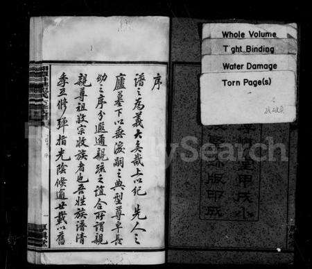 湖南龙氏族谱-湘潭井华龙氏六修族谱 [4卷,首2卷,末5卷].pdf电子版预览图4