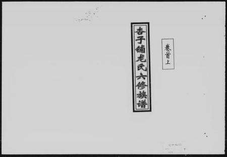 湖南龙氏族谱-杏子铺龙氏六修族谱 [8卷,首2卷].pdf电子版缩略图