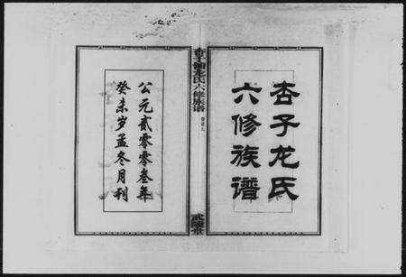 湖南龙氏族谱-杏子铺龙氏六修族谱 [8卷,首2卷].pdf电子版预览图1