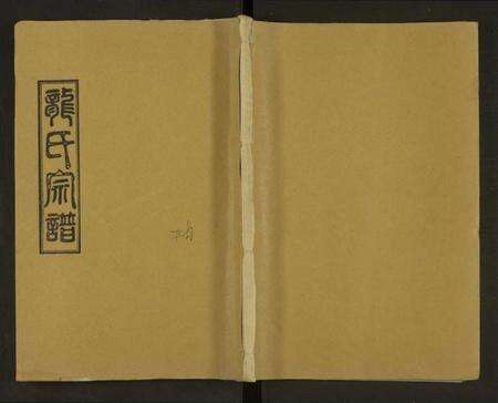 湖南龙氏族谱-邵湘龙氏五修族谱[7卷及卷首上中下].pdf电子版缩略图