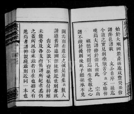 湖南卢氏族谱-卢氏支谱 [11卷,及附卷1].pdf电子版预览图5