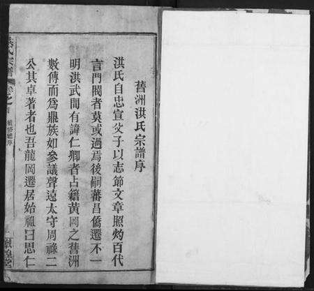 湖北洪氏族谱-洪氏宗谱.pdf电子版预览图2