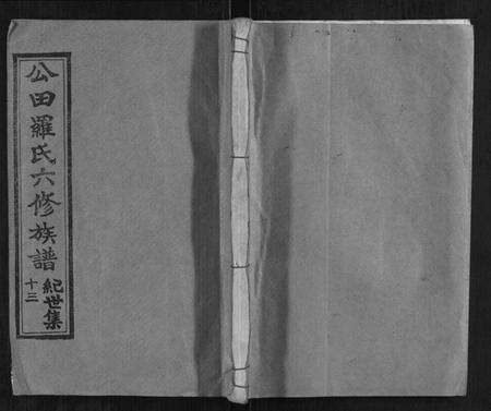 湖南罗氏族谱-公田罗氏六修族谱.pdf电子版缩略图