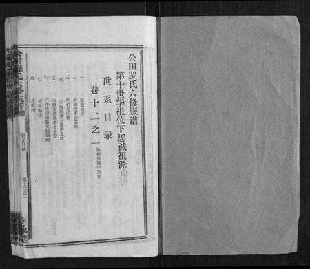 湖南罗氏族谱-公田罗氏六修族谱.pdf电子版预览图1