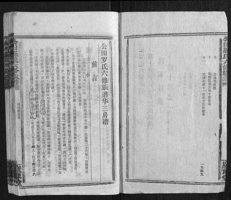 湖南罗氏族谱-公田罗氏六修族谱.pdf电子版预览图2