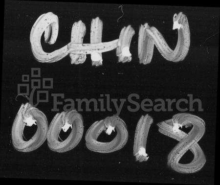 湖南罗氏族谱-宁乡罗氏六修族谱 [20卷,首末各1卷].pdf电子版预览图1