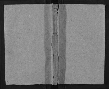 湖南罗氏族谱-桂东罗氏族谱[不分卷].pdf电子版缩略图