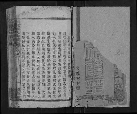 湖南罗氏族谱-桂东罗氏族谱[不分卷].pdf电子版预览图1