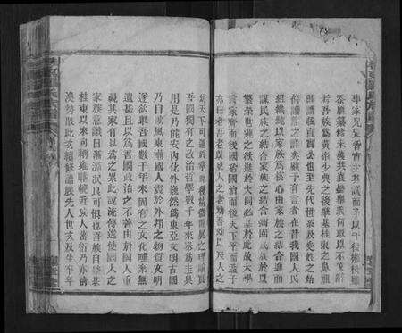 湖南罗氏族谱-桂东罗氏族谱[不分卷].pdf电子版预览图2