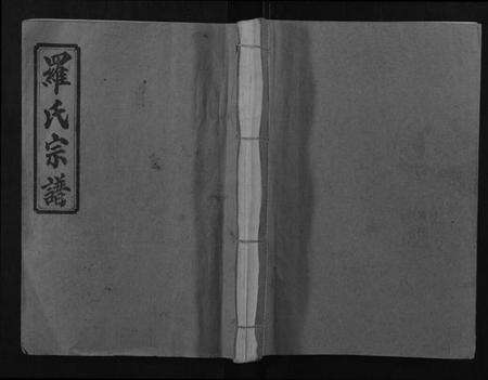 湖南罗氏族谱-浏阳营盘罗氏宗谱[31卷首2卷].pdf电子版缩略图