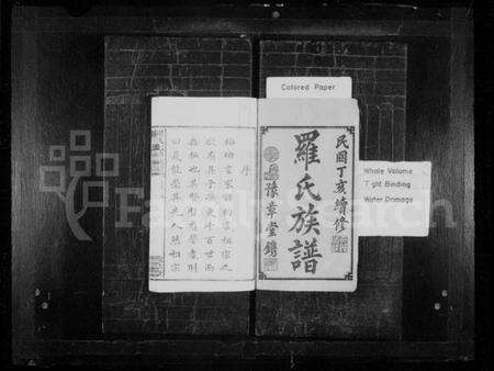 湖南罗氏族谱-罗氏七修族谱 [卷数杂异].pdf电子版预览图2