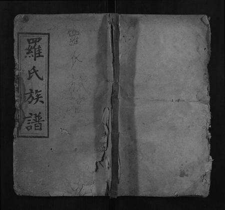 湖南罗氏族谱-罗氏九房族谱.pdf电子版缩略图