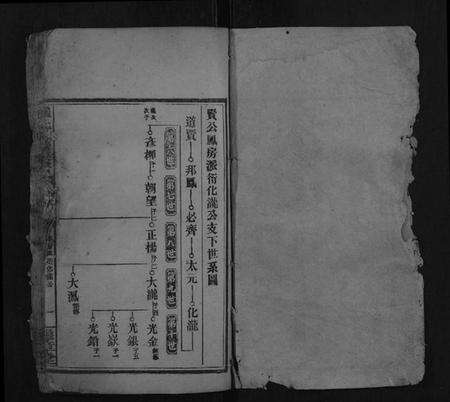 湖南罗氏族谱-罗氏九房族谱.pdf电子版预览图1