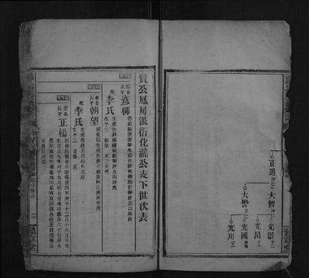 湖南罗氏族谱-罗氏九房族谱.pdf电子版预览图2