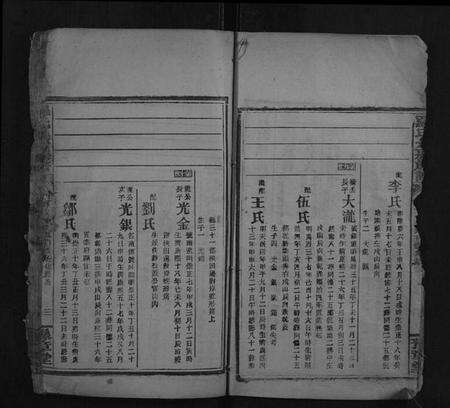 湖南罗氏族谱-罗氏九房族谱.pdf电子版预览图3