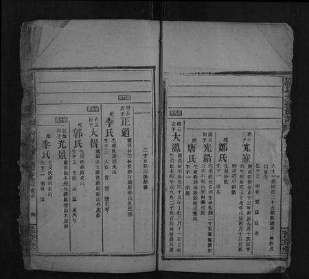 湖南罗氏族谱-罗氏九房族谱.pdf电子版预览图4