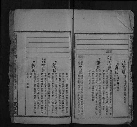 湖南罗氏族谱-罗氏九房族谱.pdf电子版预览图5