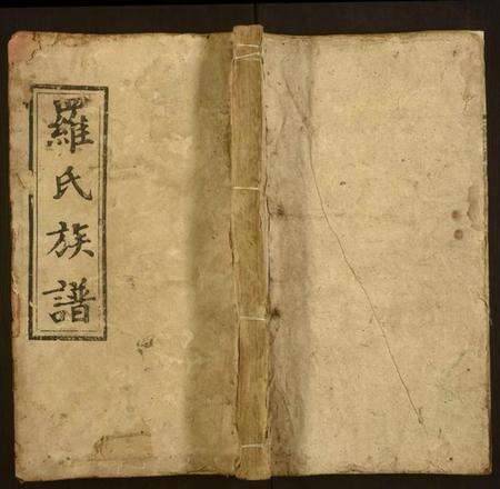 湖南罗氏族谱-罗氏九房族谱.pdf电子版缩略图