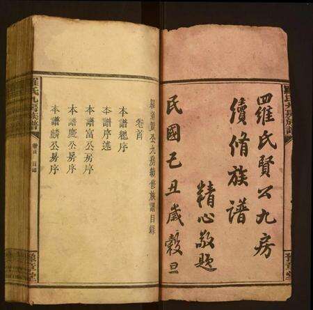 湖南罗氏族谱-罗氏九房族谱.pdf电子版预览图1