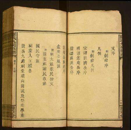 湖南罗氏族谱-罗氏九房族谱.pdf电子版预览图2