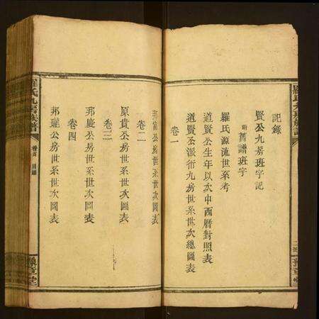 湖南罗氏族谱-罗氏九房族谱.pdf电子版预览图3