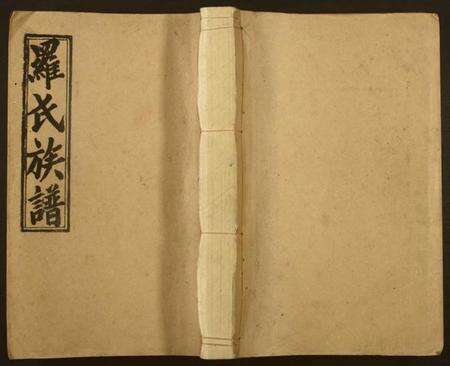 湖南罗氏族谱-罗氏四修族谱.pdf电子版缩略图