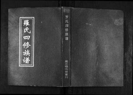 湖南罗氏族谱-罗氏四修族谱[不分卷].pdf电子版缩略图