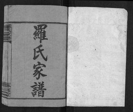 湖南罗氏族谱-罗氏家谱[12卷,首2卷].pdf电子版预览图1