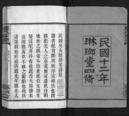 湖南罗氏族谱-罗氏家谱[12卷,首2卷].pdf电子版预览图2