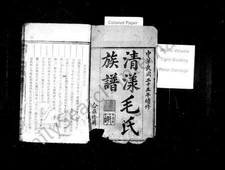 浙江毛氏族谱-清漾毛氏族谱 [卷数杂异].pdf电子版预览图2