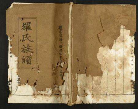 湖南罗氏族谱-罗氏族谱.pdf电子版缩略图