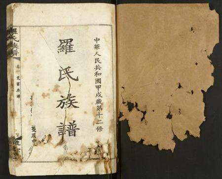 湖南罗氏族谱-罗氏族谱.pdf电子版预览图1