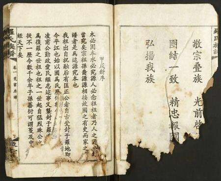 湖南罗氏族谱-罗氏族谱.pdf电子版预览图2