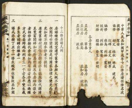 湖南罗氏族谱-罗氏族谱.pdf电子版预览图5