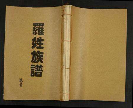 湖南罗氏族谱-罗氏族谱.pdf电子版缩略图