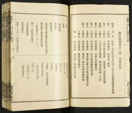 湖南罗氏族谱-罗氏族谱.pdf电子版预览图2