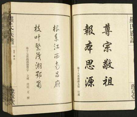 湖南罗氏族谱-罗氏族谱.pdf电子版预览图4