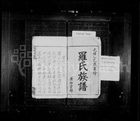 湖南罗氏族谱-罗氏族谱 [17卷,首1卷,附祠谱2卷,首1卷].pdf电子版预览图2