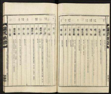 湖南罗氏族谱-罗氏族谱 [18卷].pdf电子版预览图3