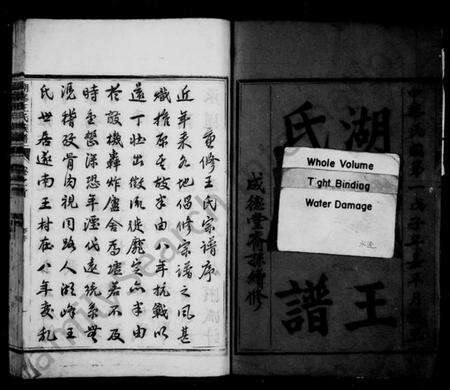 浙江王氏族谱-湖峰王氏族谱 [17卷,及卷首].pdf电子版预览图3