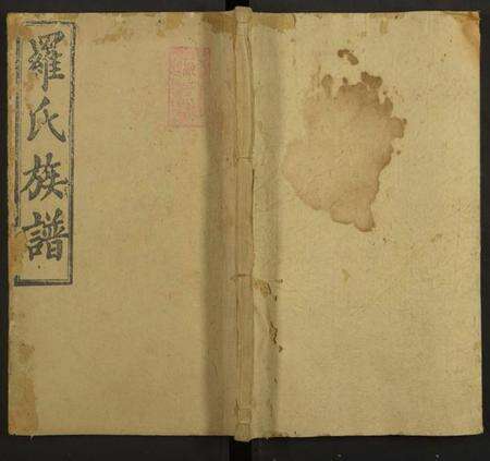 湖南罗氏族谱-罗氏族谱[19卷].pdf电子版缩略图