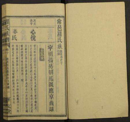 湖南罗氏族谱-罗氏族谱[19卷].pdf电子版预览图1