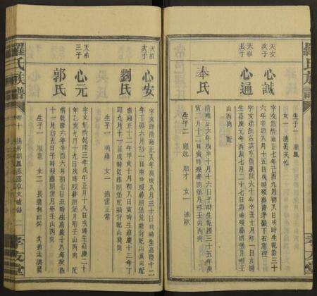 湖南罗氏族谱-罗氏族谱[19卷].pdf电子版预览图2