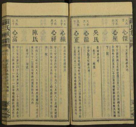 湖南罗氏族谱-罗氏族谱[19卷].pdf电子版预览图3